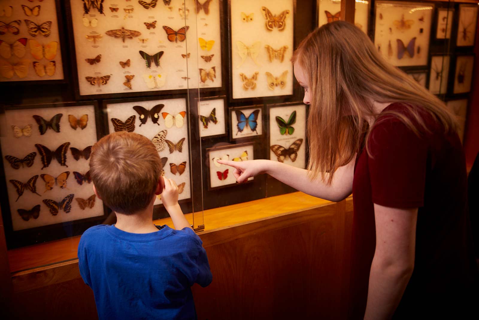 Eugene-Science-Center-Butterfly-Exhibit