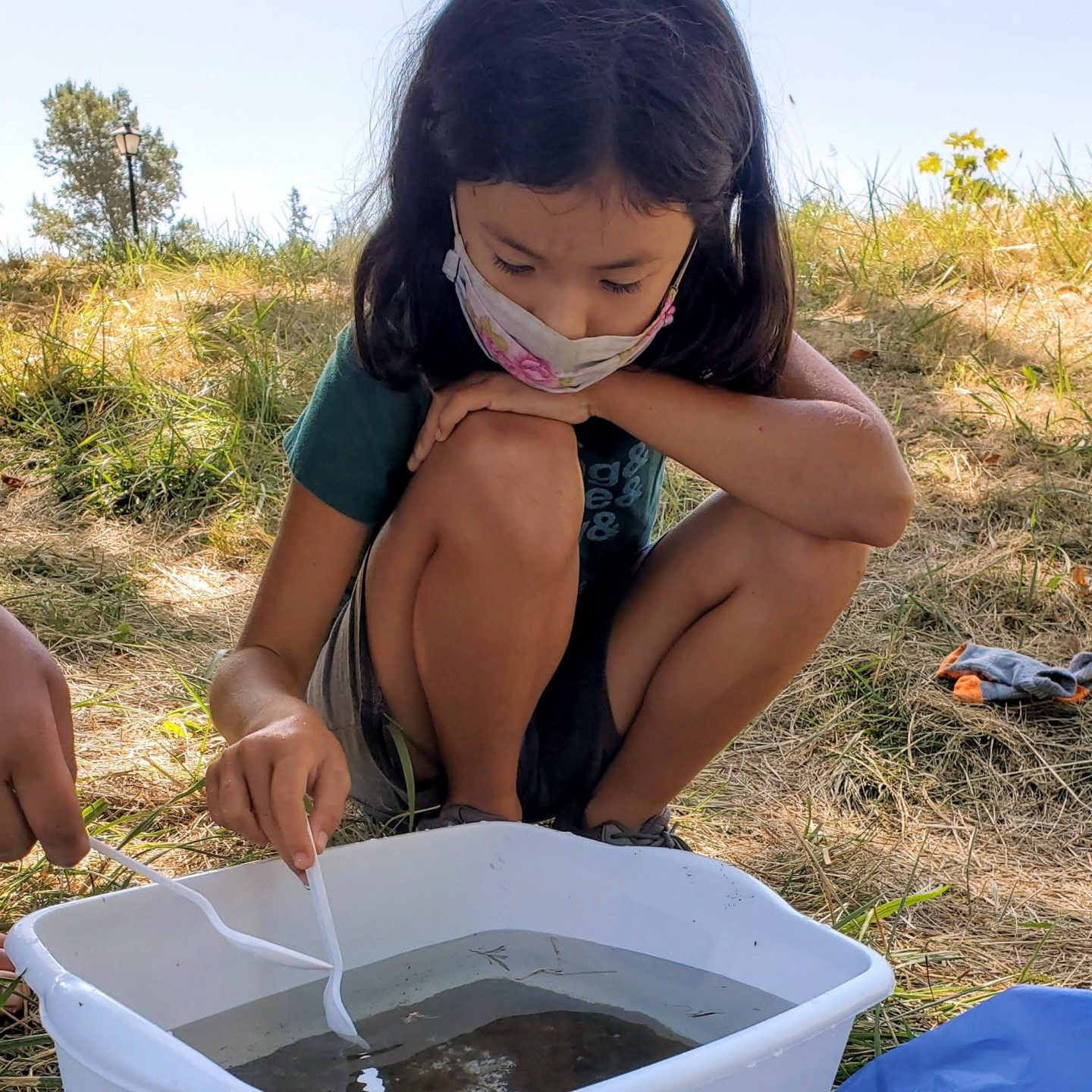 Girl Examining Pond Water