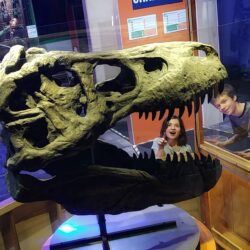 Exhibit